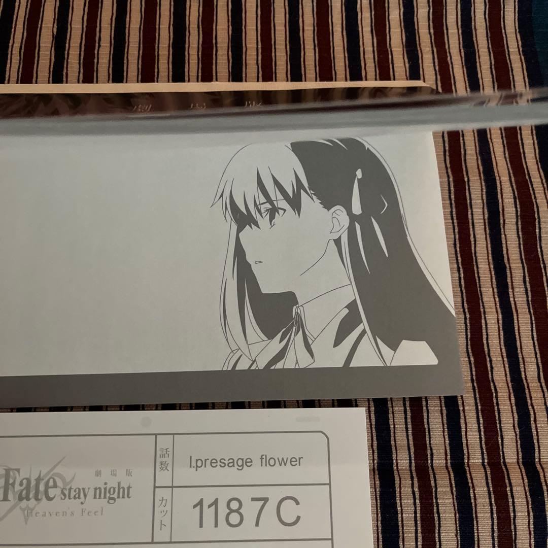 日めくりカレンダー　メモ帳　間桐桜