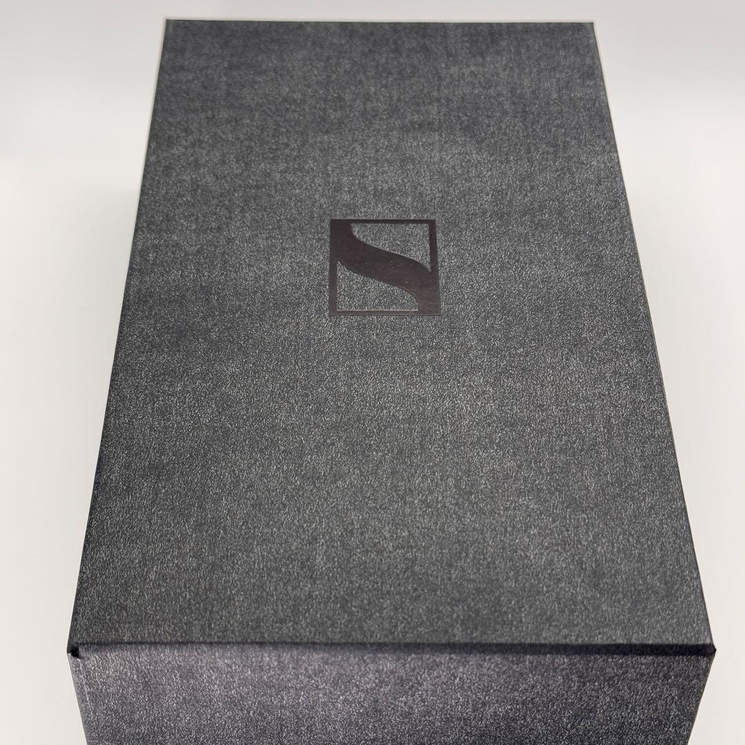 【美品／付属品完備】Sennheiser IE900 ゼンハイザー