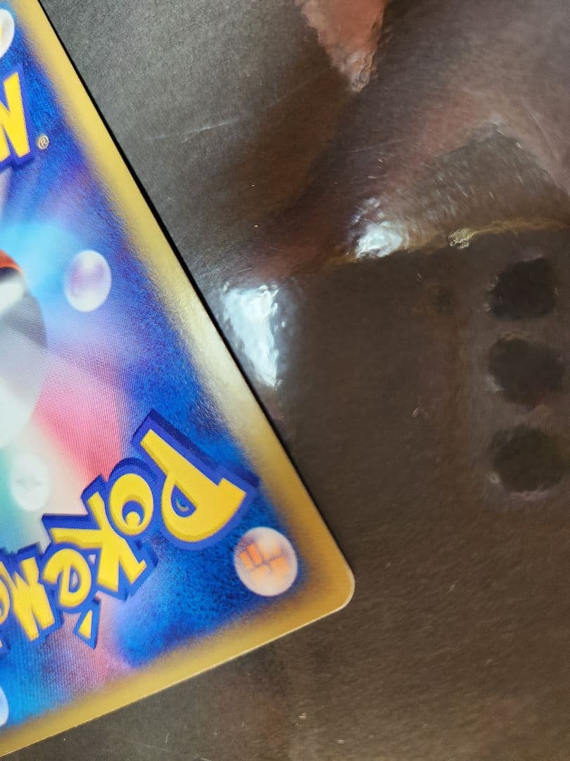 サンダース　キラのeカード