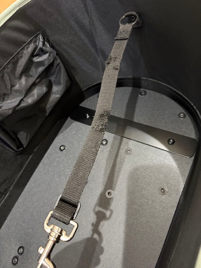 AIRBUGGY DOME3 ラージ　グラスグリーンカスタム