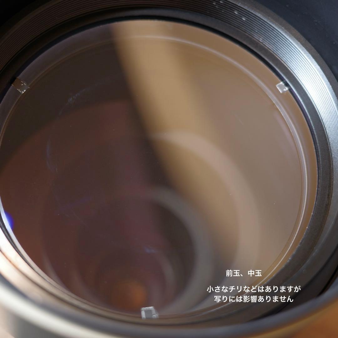 超望遠 スリービーチ SUPER BIG 100A 1000-1600