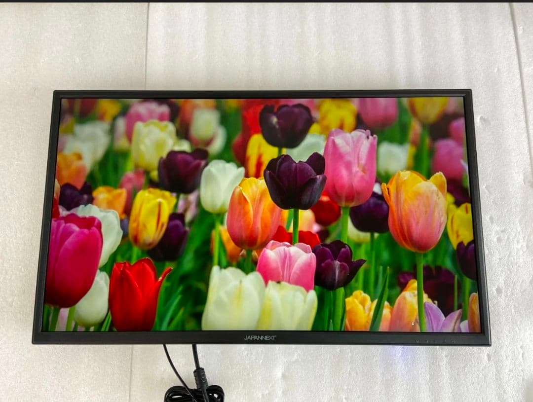 JAPANNEXT モニター 本体