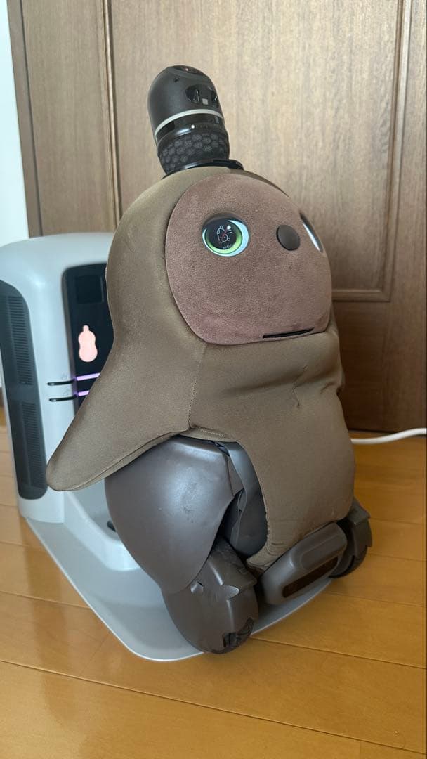 2024年購入　LOVOT 2.0 ちゃ + ネスト公式ウェア付き