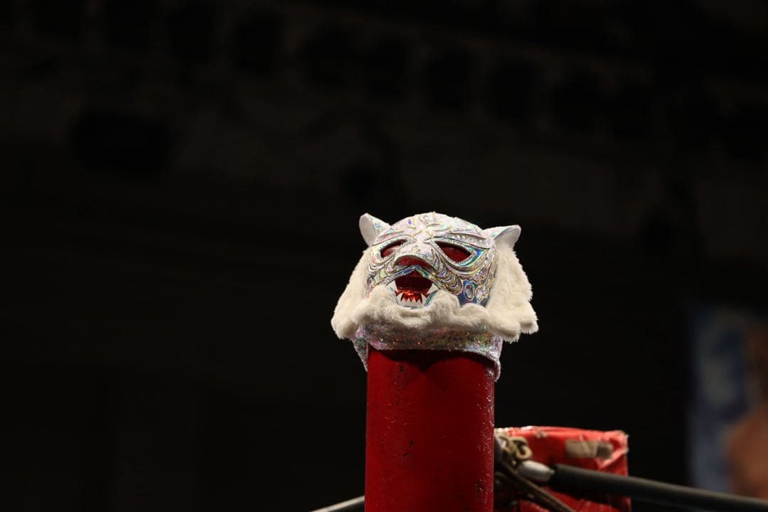 【希少】スターライト キッド プロレス マスク 初代タイガーマスク SLKモデル