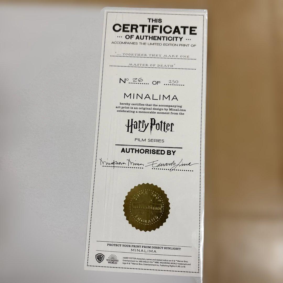 レア　ハリーポッター　ミナリマ　プレミアム　アートプリント