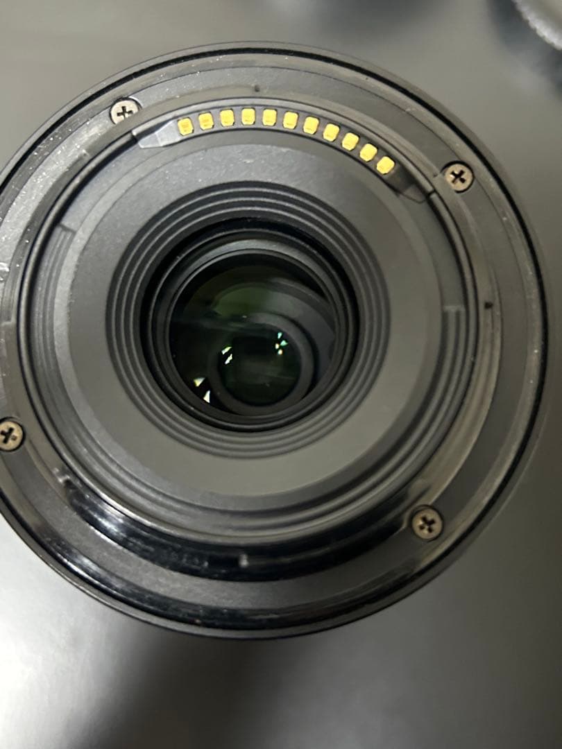 限定値下げ　NIKKOR DX 50-250mm f/4.5-6.3ズームレンズ