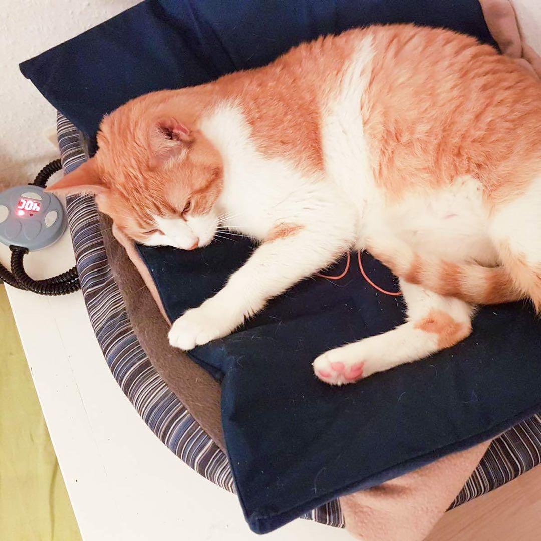 ペット用ホットカーペット 四角形 防寒 ペットヒーター PSE認証 中小型ペット