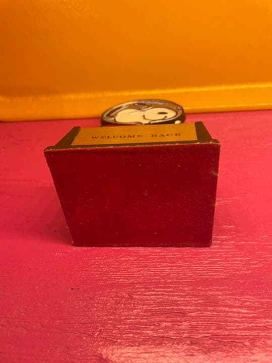 スヌーピー アストロ　トロフィーaviva 社