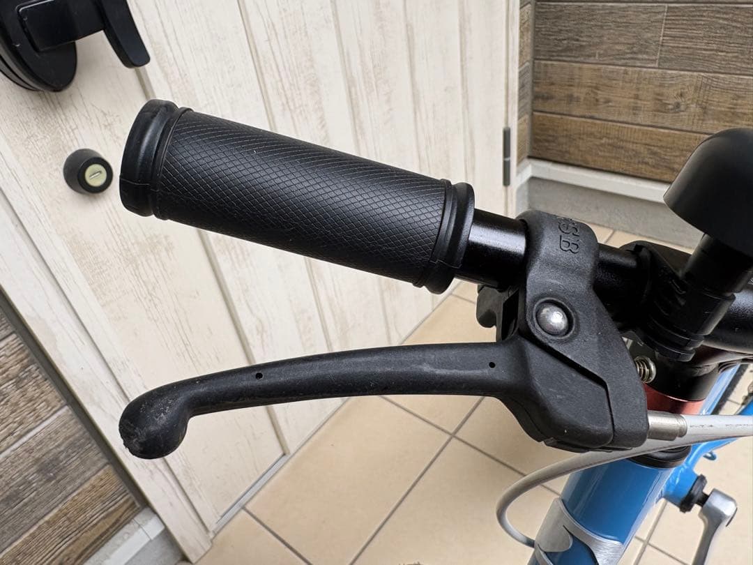 Louis Garneau 子供用自転車 青