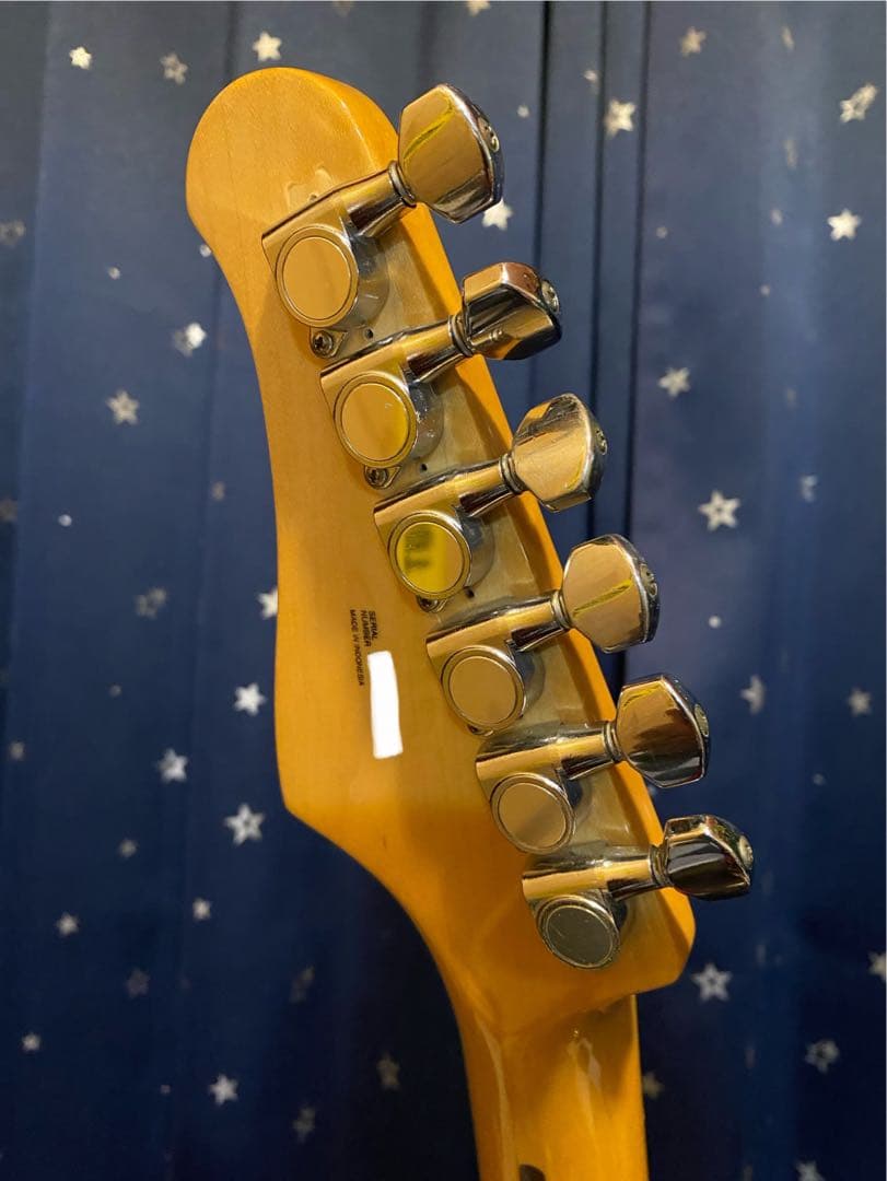 Selva STL350 Telecastder Deluxe (改造)