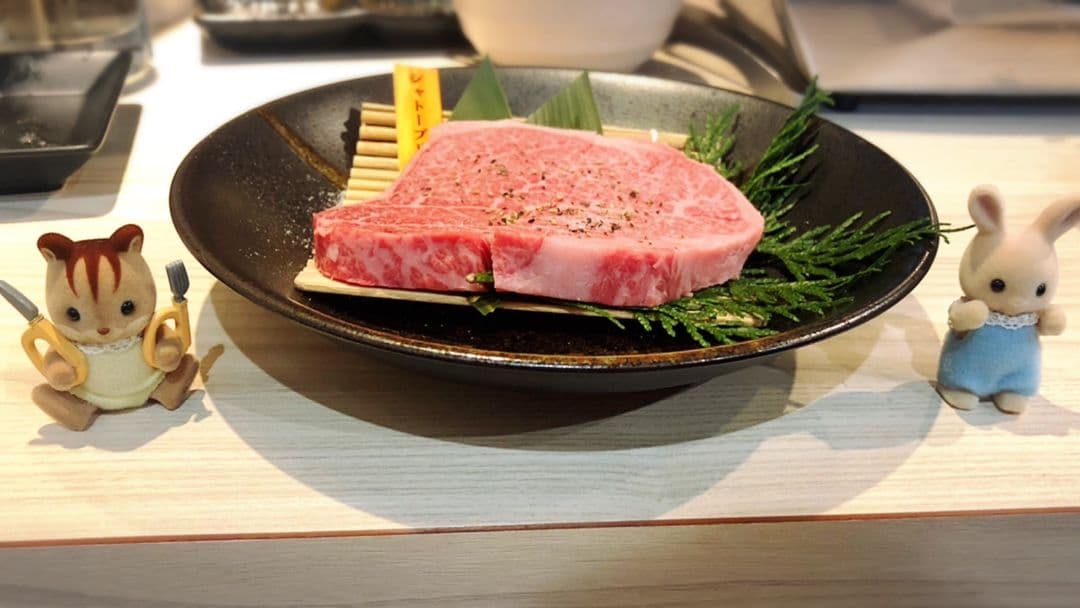 肉のフィギュア