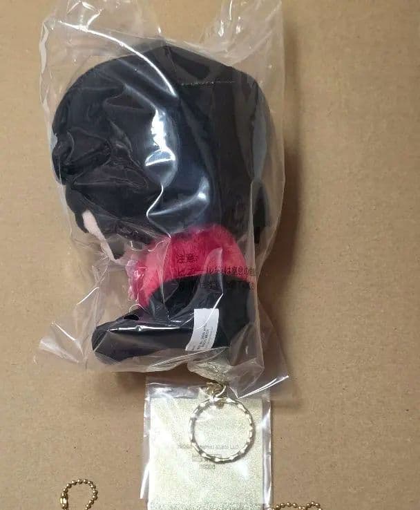 ミュージシャン taigadesu