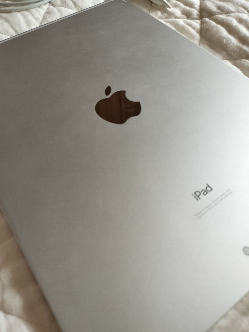 【soraさん専用】Apple iPad Pro (11インチ) 256GB