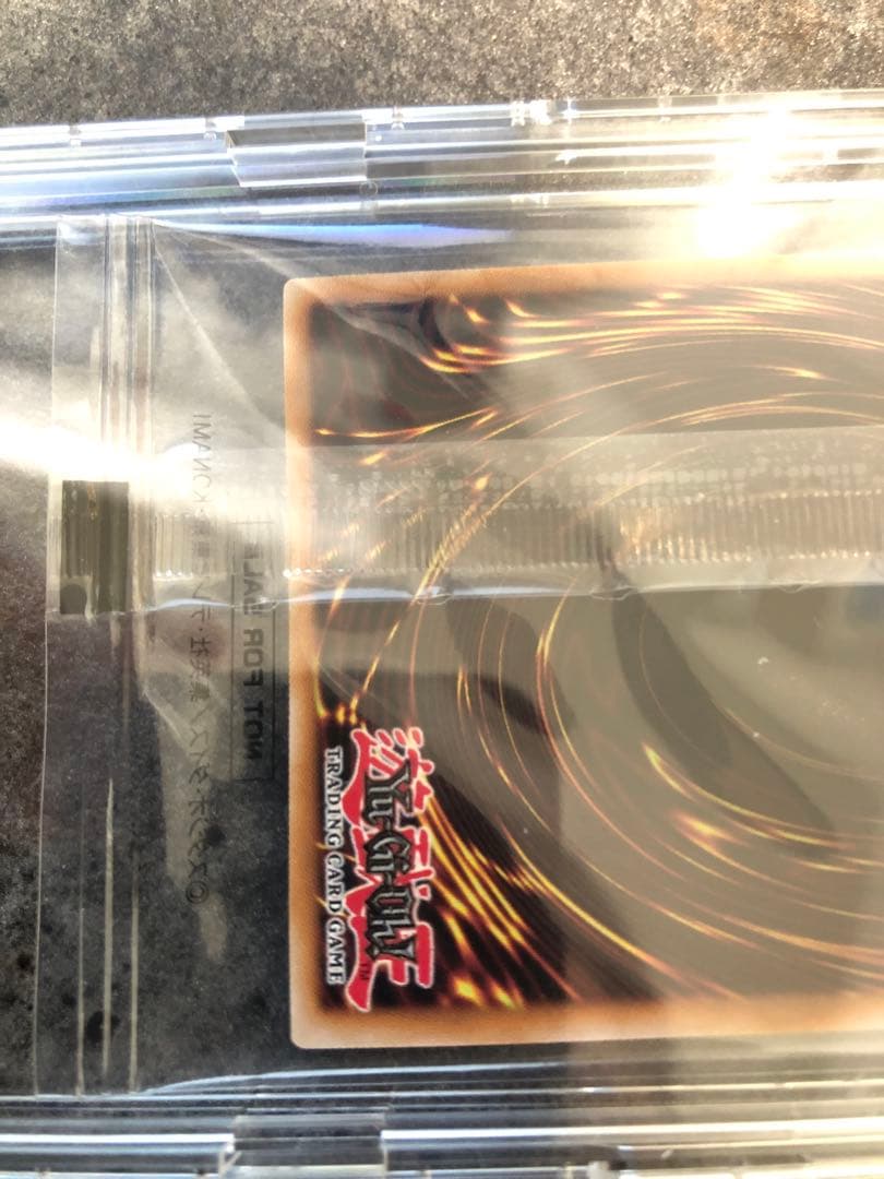 遊戯王　日本選手権　プロモ　未開封　Dragon of Illumination