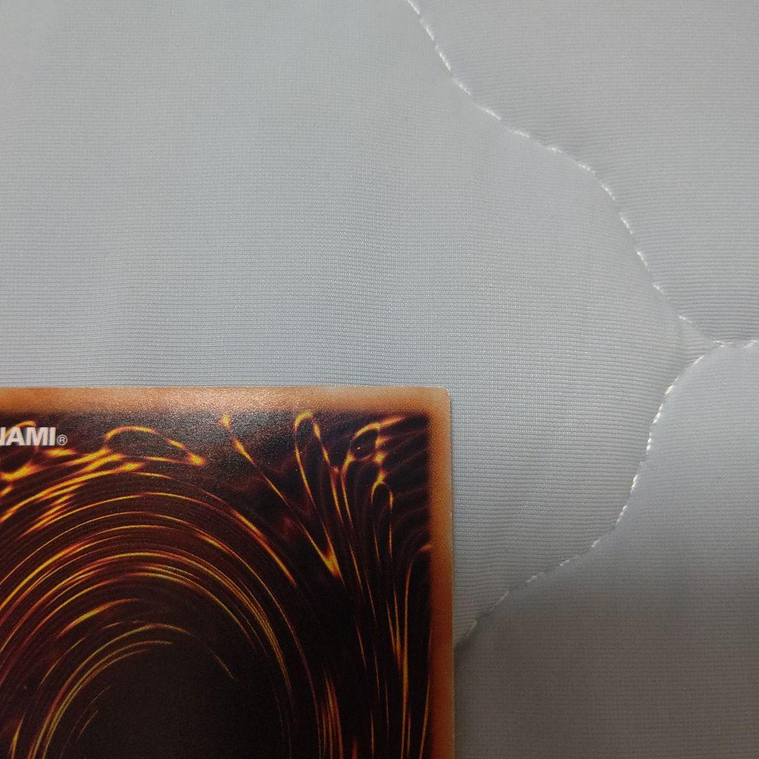 よ*ー様 青眼の白龍ホロ