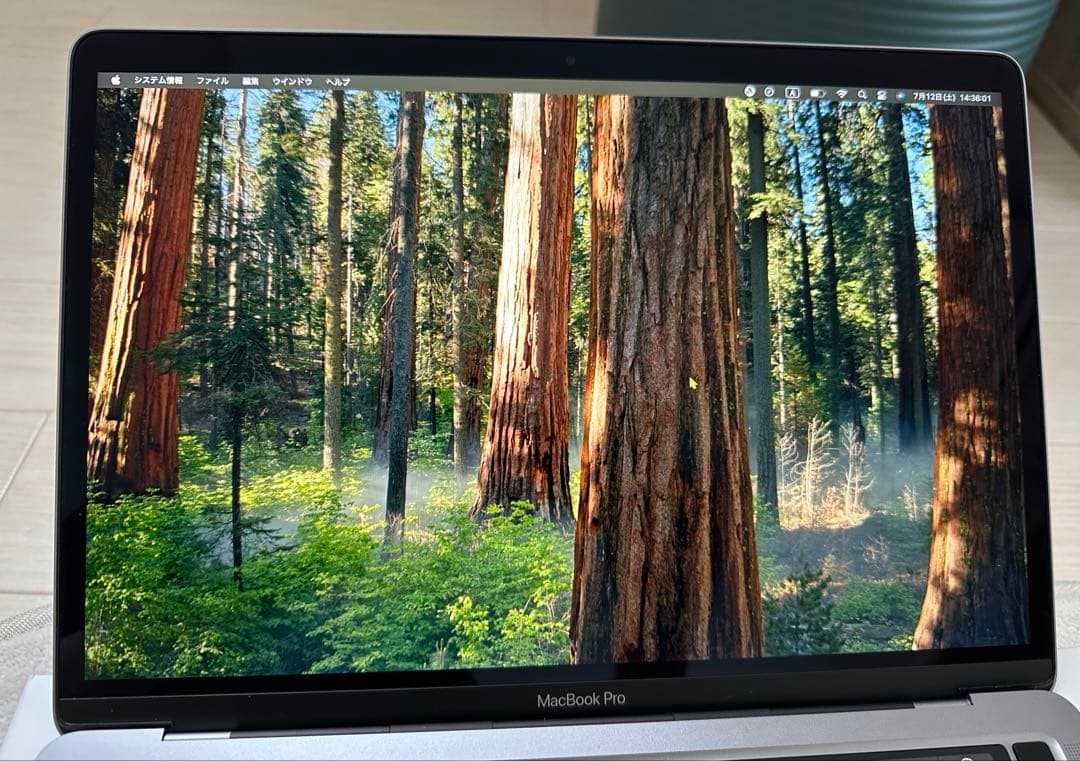 MacBook Pro M1 マジックマウス付 13インチ16/256GB