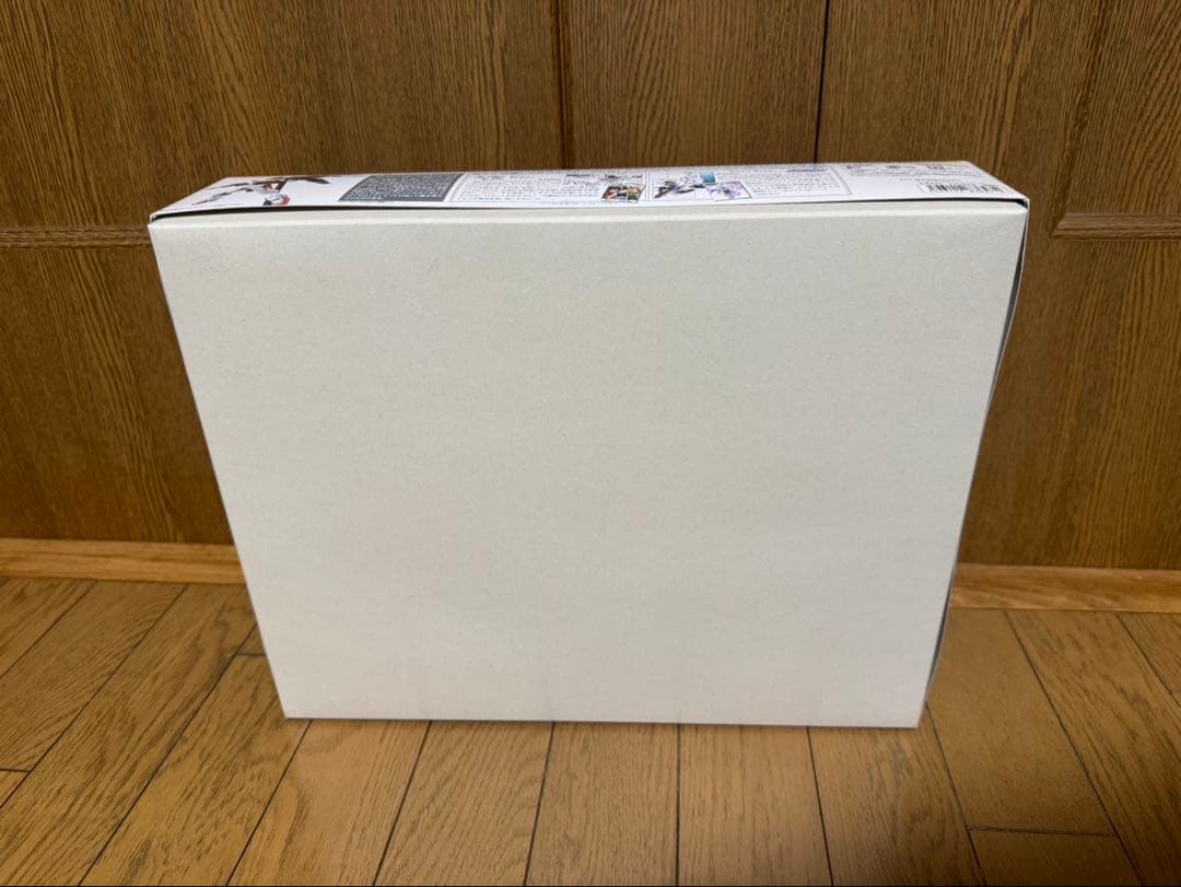 MG 1/100 ウイングガンダム プロトゼロ EW