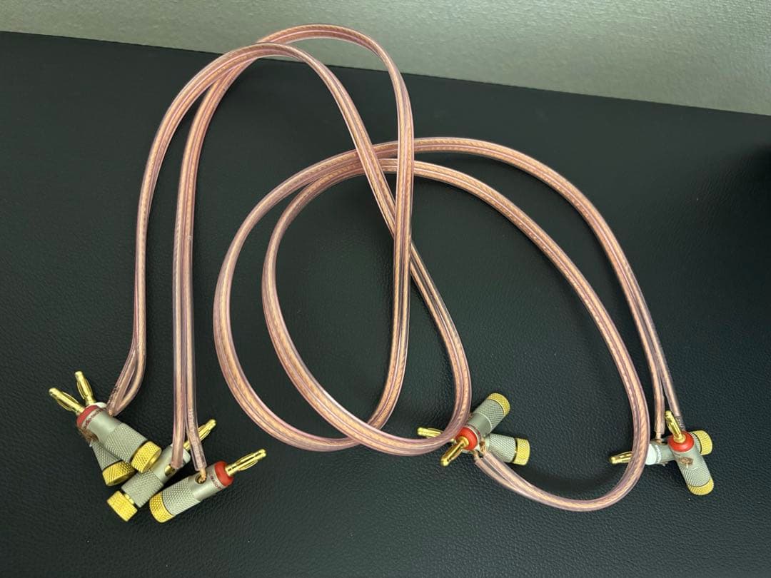 DALI ZENSOR1 オールブラック/スピーカーケーブル付き