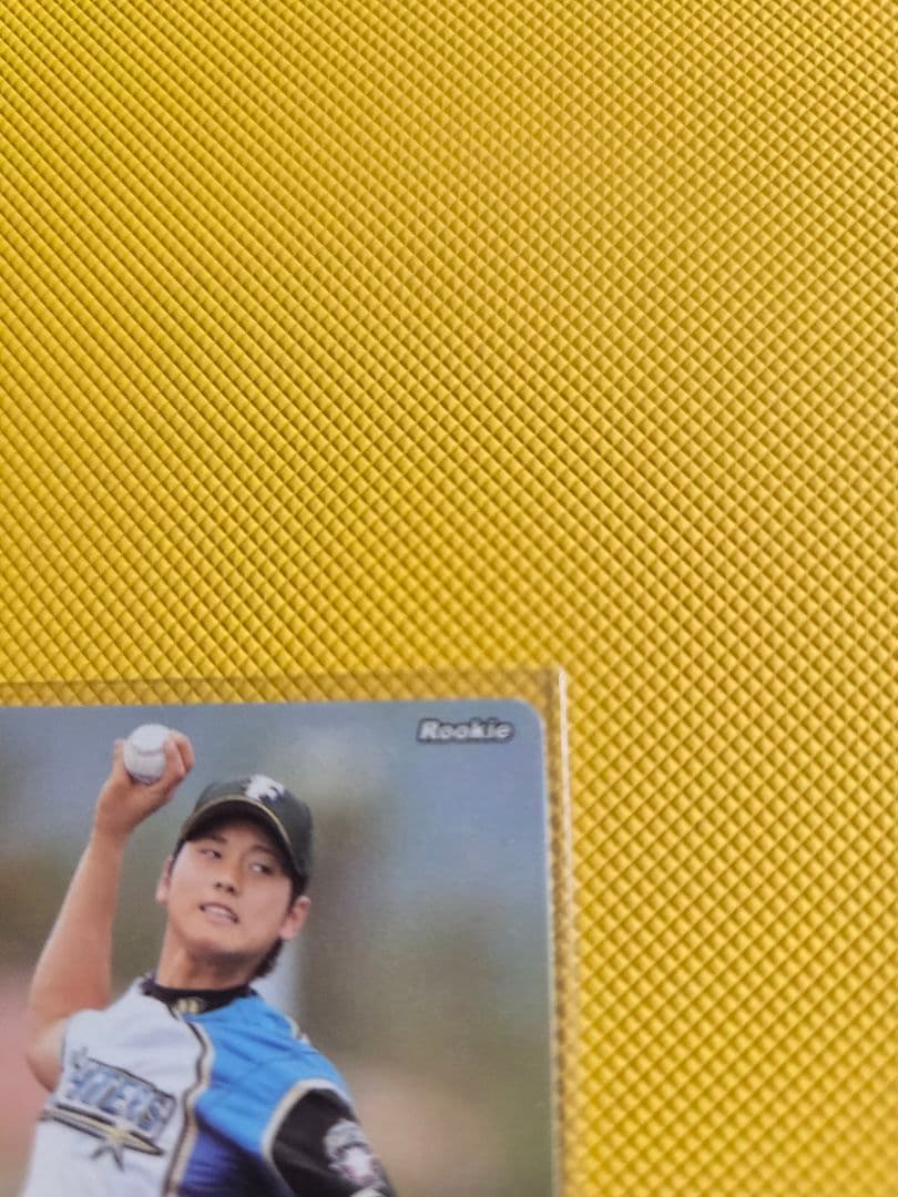 BBM ベースボールヒーローズ 2013 日本ハム 大谷翔平 RC