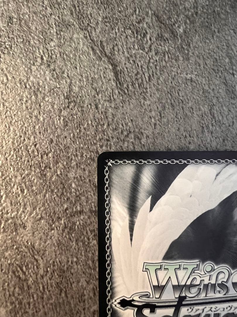 約束のパートナー　沙耶　SSP