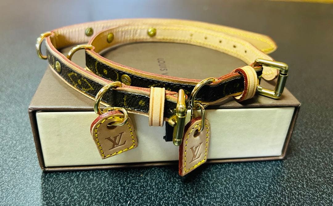 LOUIS VUITTON レザー首輪 調整可能