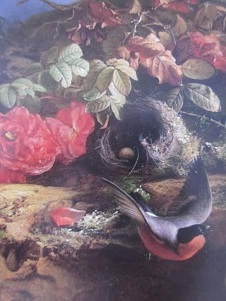 チューデ・グロンランド　バラと小鳥　図録・レゾネより　額付