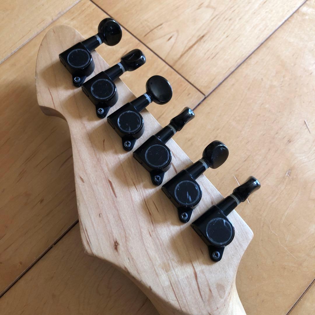 Peavey Predator EXP フロイドローズ