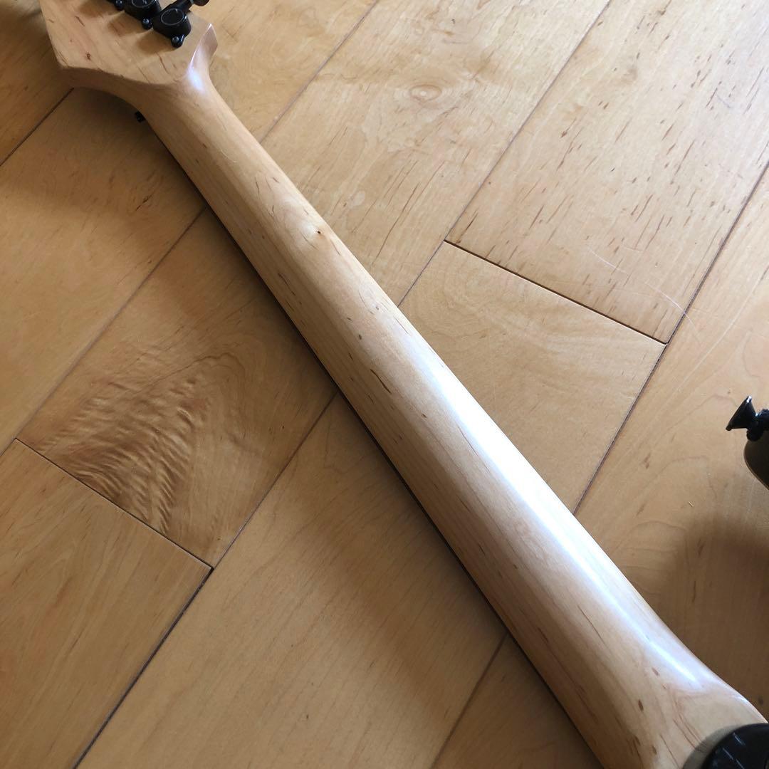 Peavey Predator EXP フロイドローズ