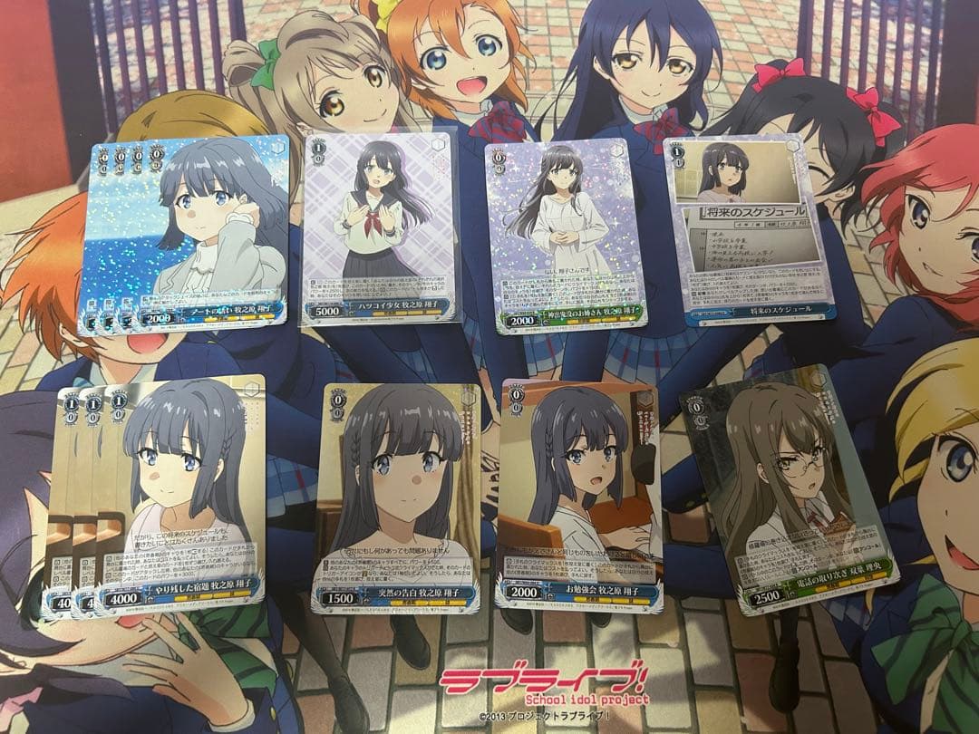 ヴァイスシュバルツ　青ブタデッキ　8門 おまけ付き