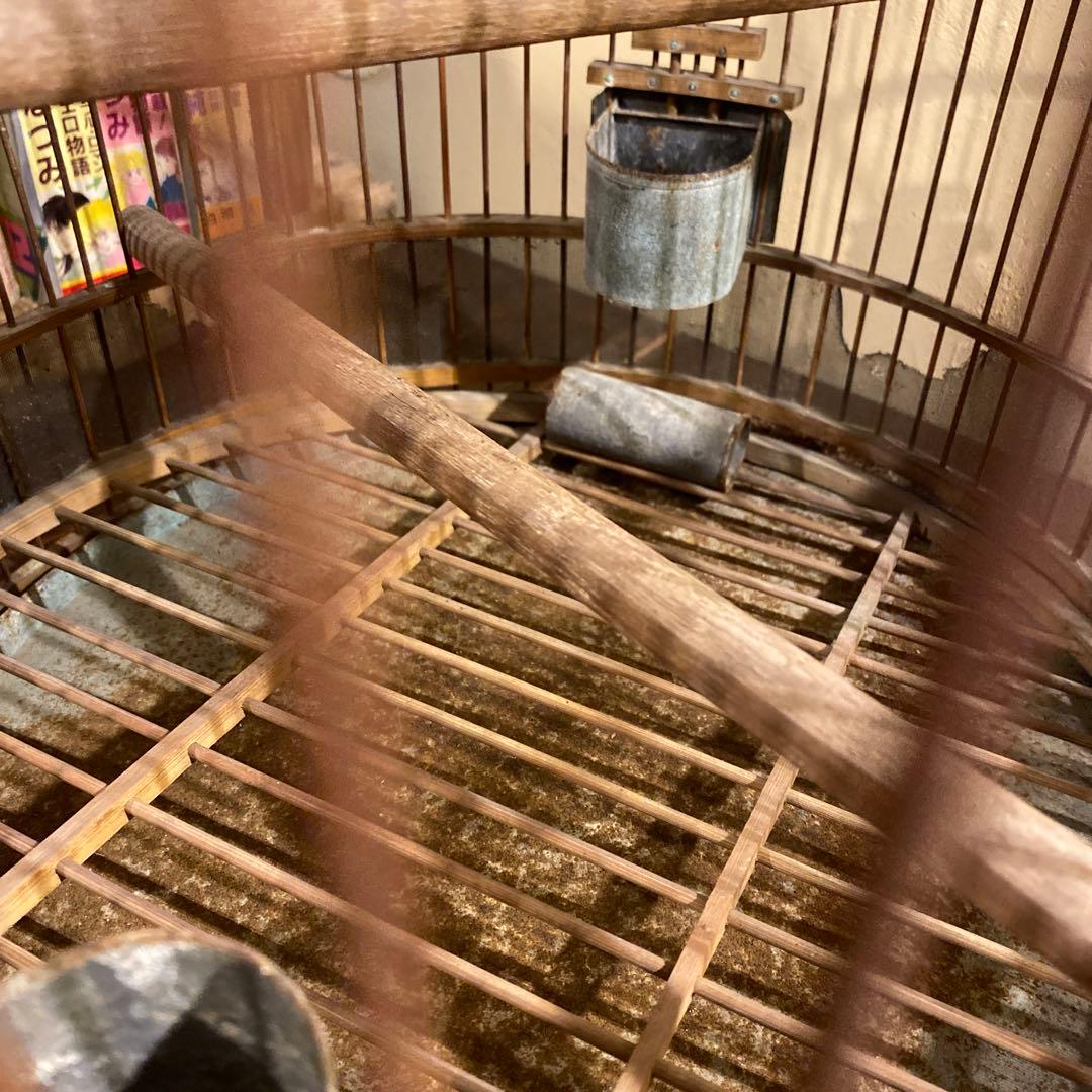 レトロ　鳥籠　竹と鉄製　ヴィンテージ