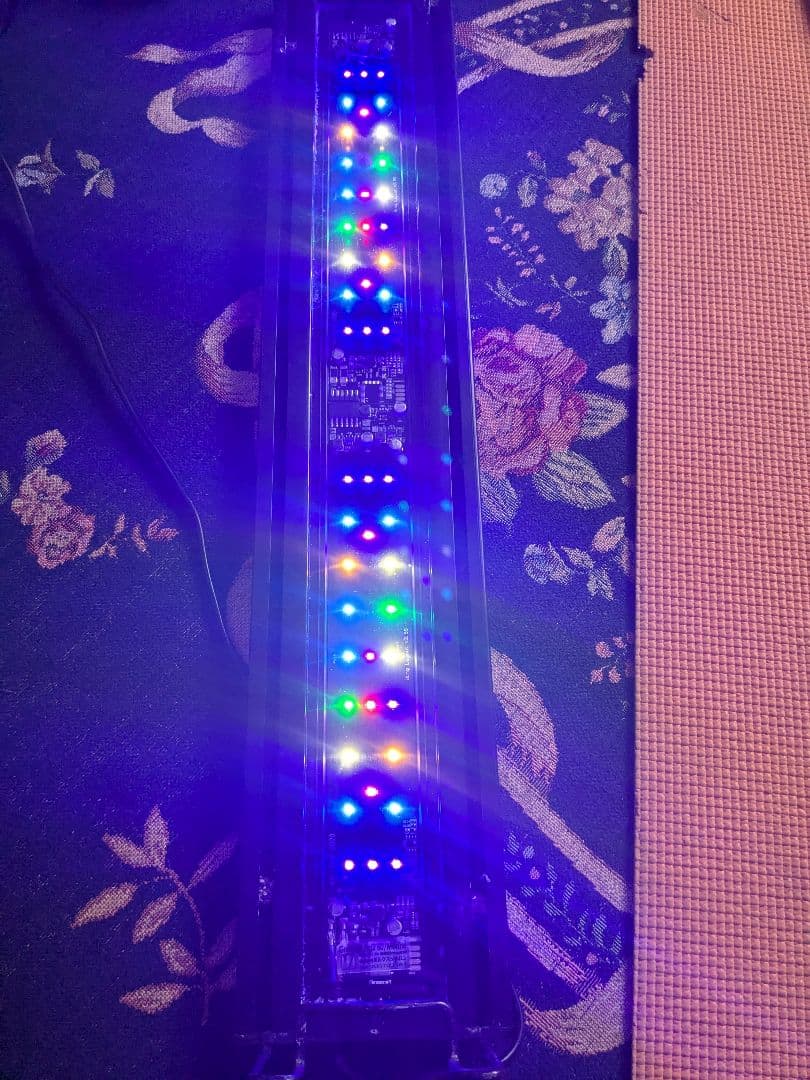 ボルクスジャパン Grassy Wing2 60 Marine　海水用