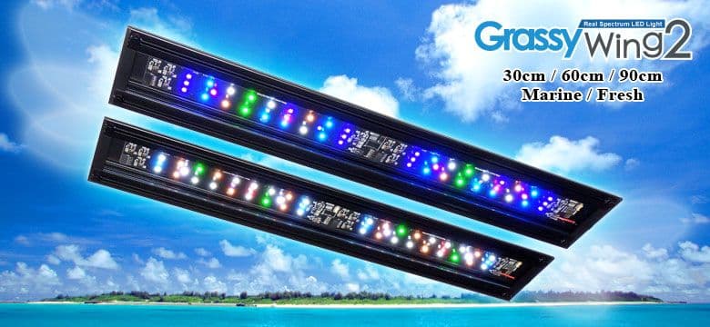 ボルクスジャパン Grassy Wing2 60 Marine　海水用