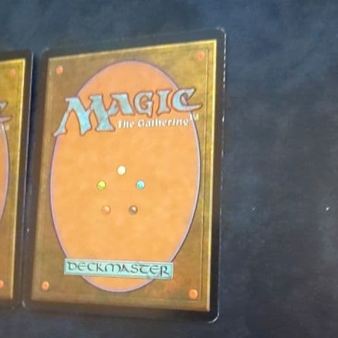 MTG 吸血の教示者 ２枚