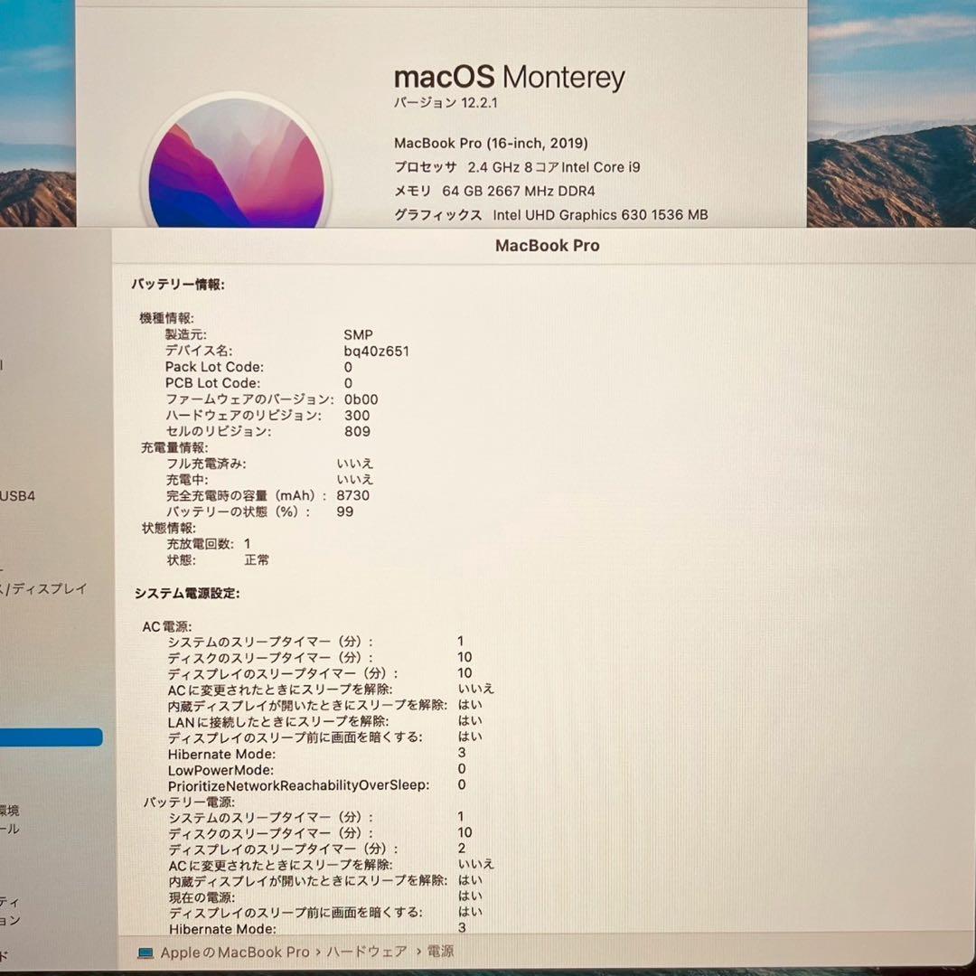 MacBook pro 16インチ 2019 i9 64GB 1TB 管3698