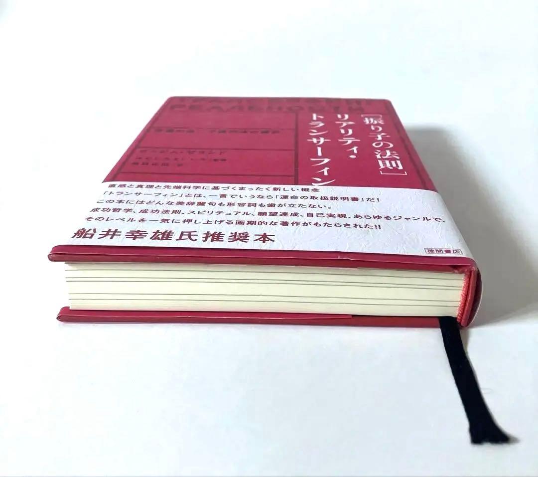 【美品】「振り子の法則」リアリティ・トランサーフィン:幸運の波/不運の波の選択