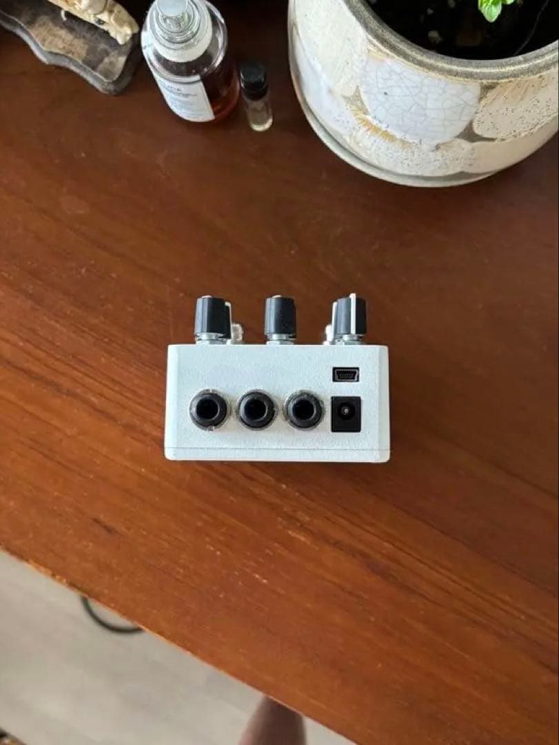 Red panda RASTER V2 デジタルディレイ