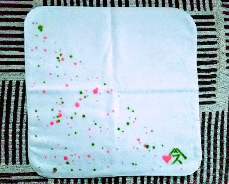 【美品】スピッツ 2009年さざなみライブDVD・ライブCD ツアーグッズ