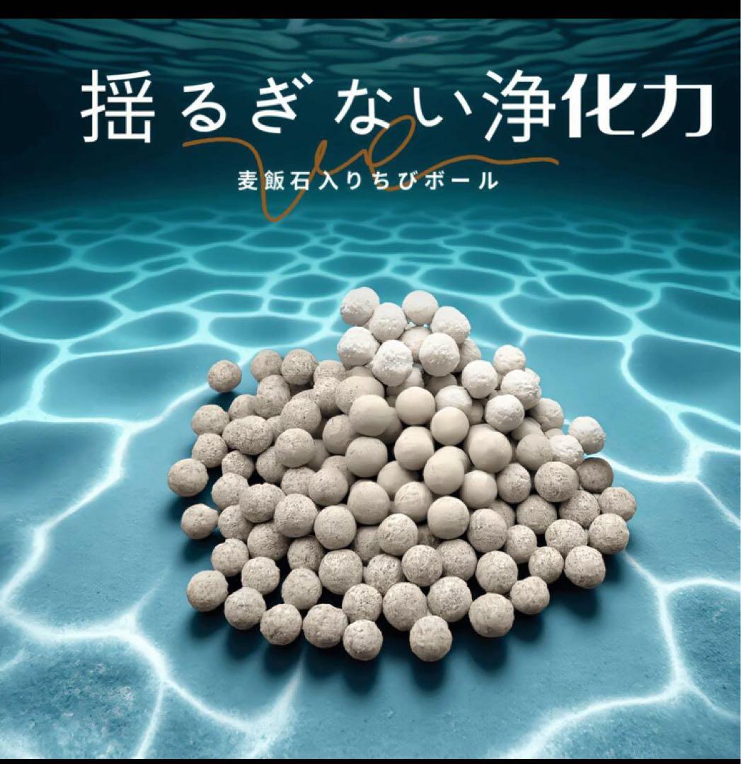20kg高性能濾過材大増量　専用メッシュ1枚付き　多孔質人気パワーボールろ材