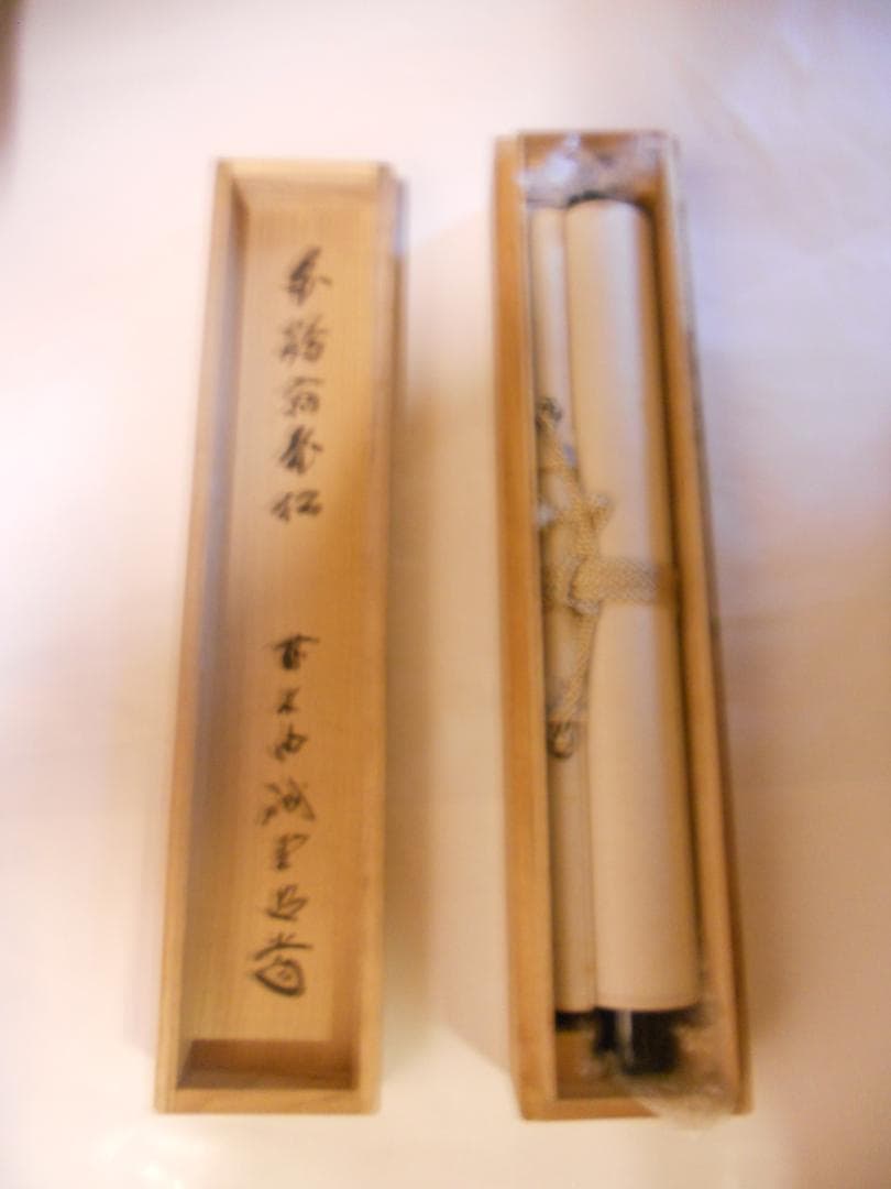 掛け軸 前大徳 藤井誠堂 「 白鶴宿老松 」紙本 希少 茶掛 茶道具 掛軸 美品