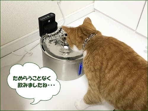 猫 給水器 コードレス充電式 自動 ステンレス製 ペット用ウォーターボウル 3段