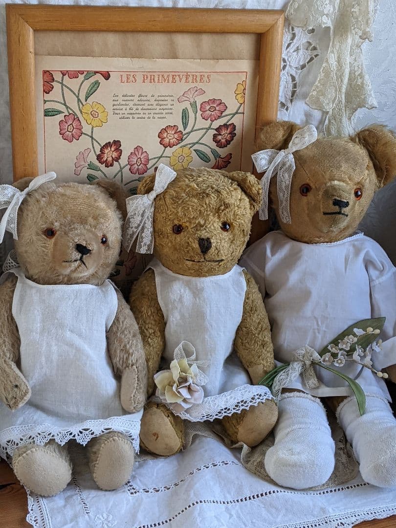 【p】アンティークベア　アンティークテディベア　イギリス