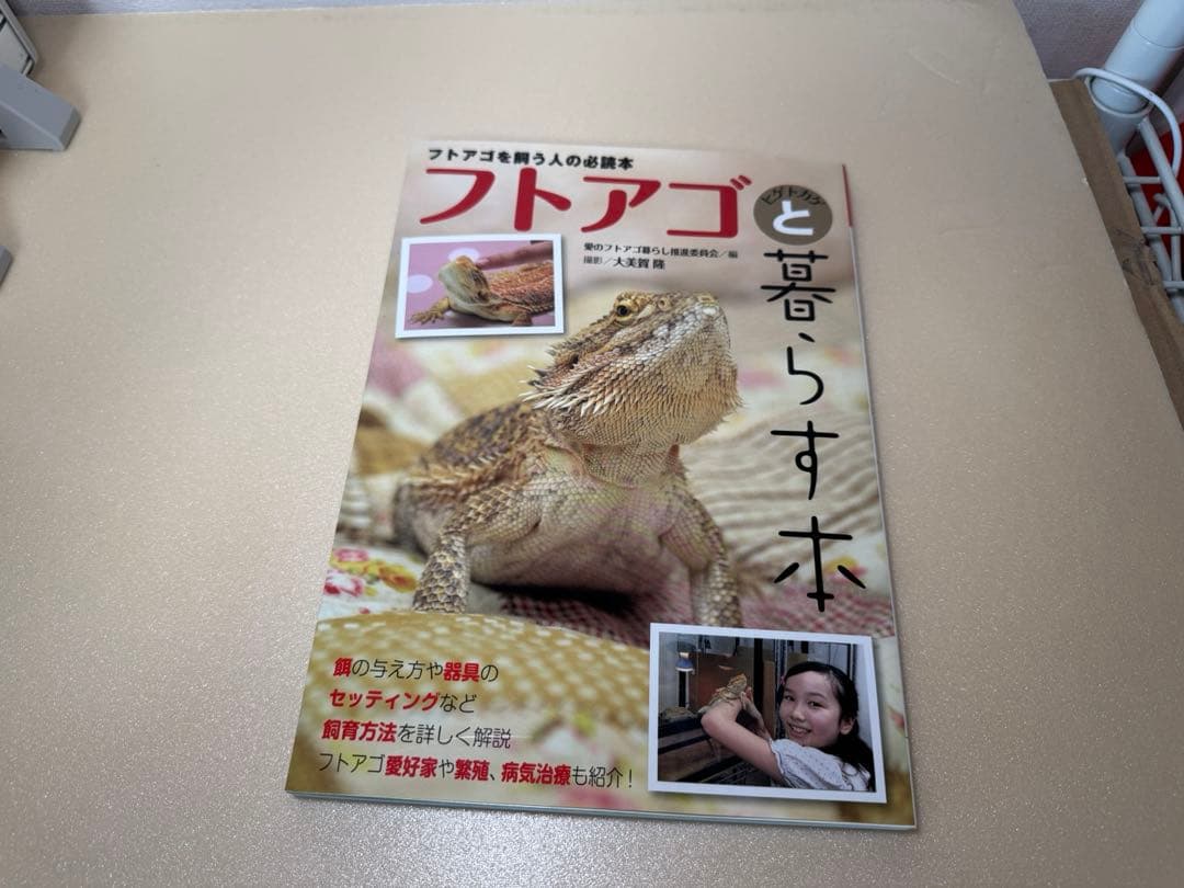 WildPlanet850ケース他フトアゴヒゲトカゲ飼育セット（現地引渡し）