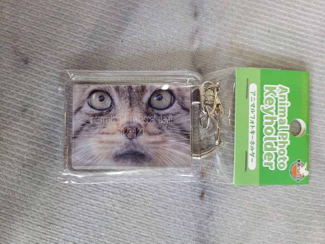 【限定】2023国際マヌルネコの日キーホルダーC②