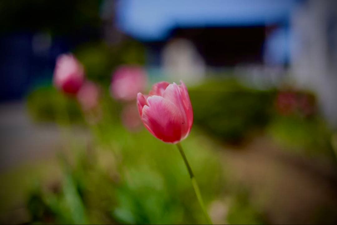 Canon EOS-1D X 28-80mmレンズセット