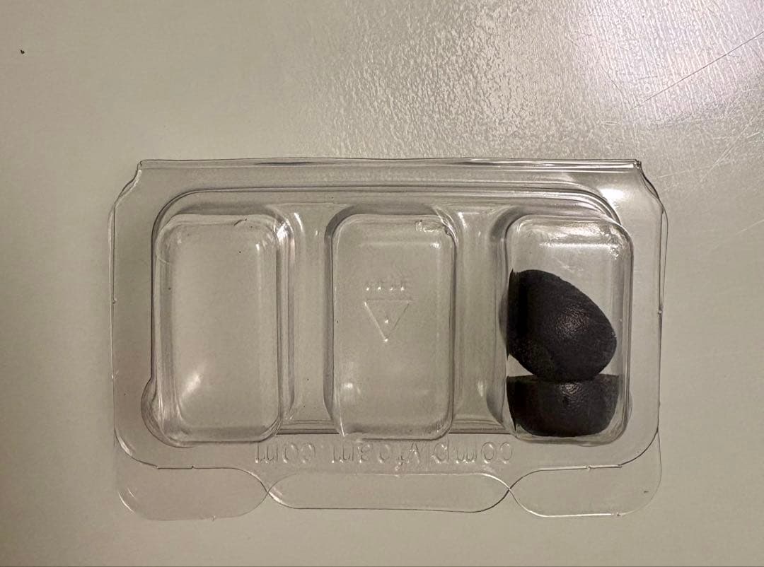 Bose QuietComfort Earbuds II ＋純正シリコンカバー