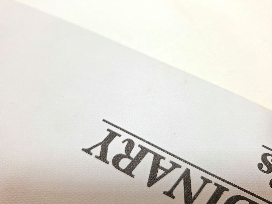 BIGBANG EXTRA ORDINARY 20's写真集DVD2枚　特典付