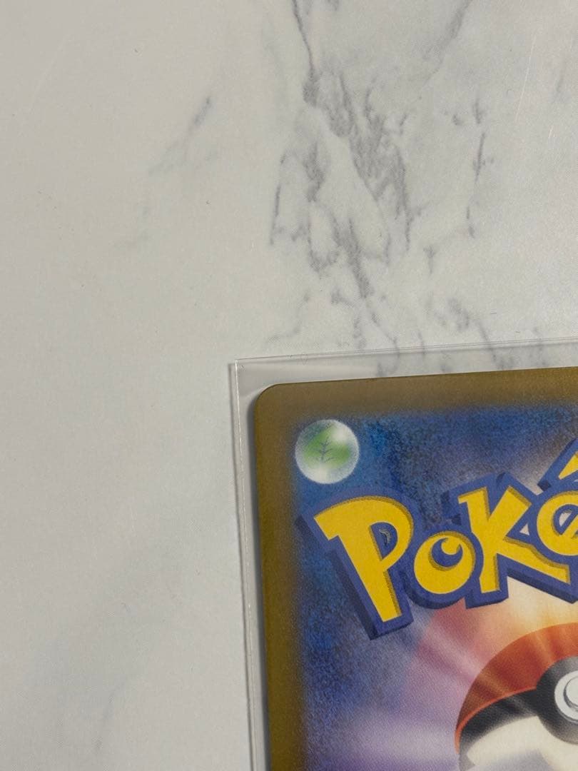 フ*)様 メガカイリューEX SAR