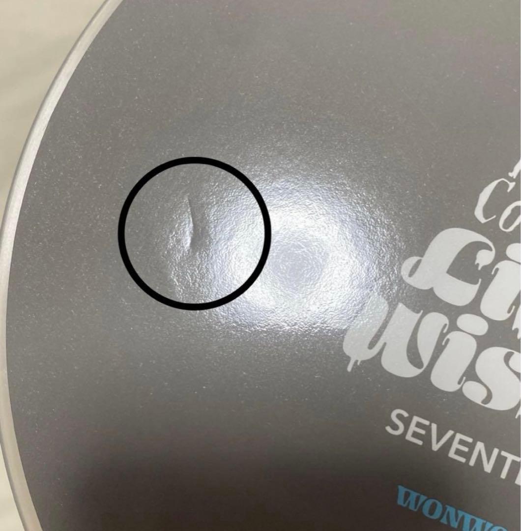 SEVENTEEN ウォヌ ホリコレ うちわ ピケット セブチ