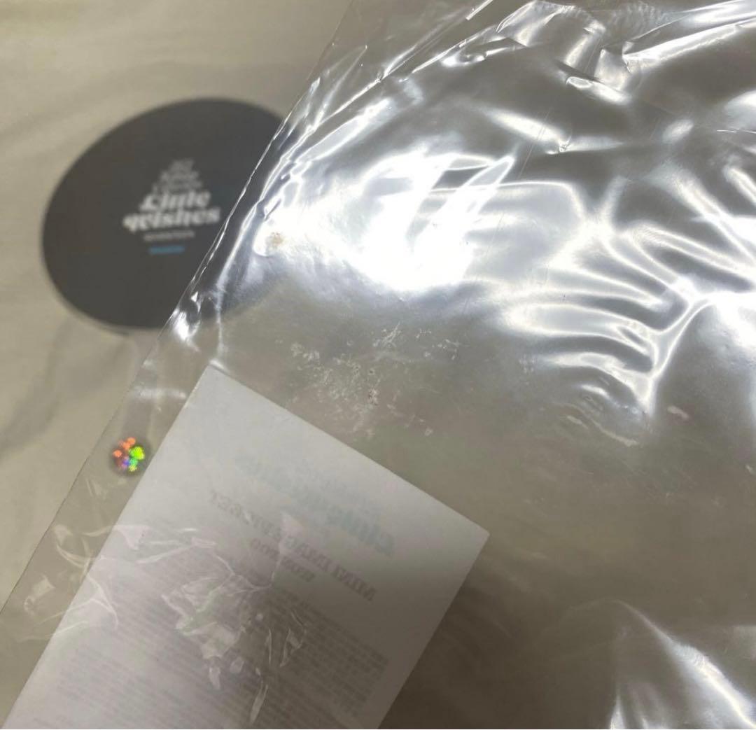 SEVENTEEN ウォヌ ホリコレ うちわ ピケット セブチ