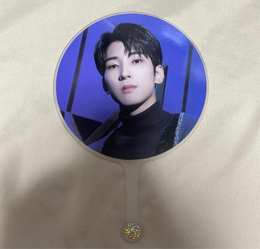 SEVENTEEN ウォヌ ホリコレ うちわ ピケット セブチ